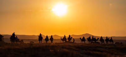 Camel Trekking Safari Tour in Abu Dhabi