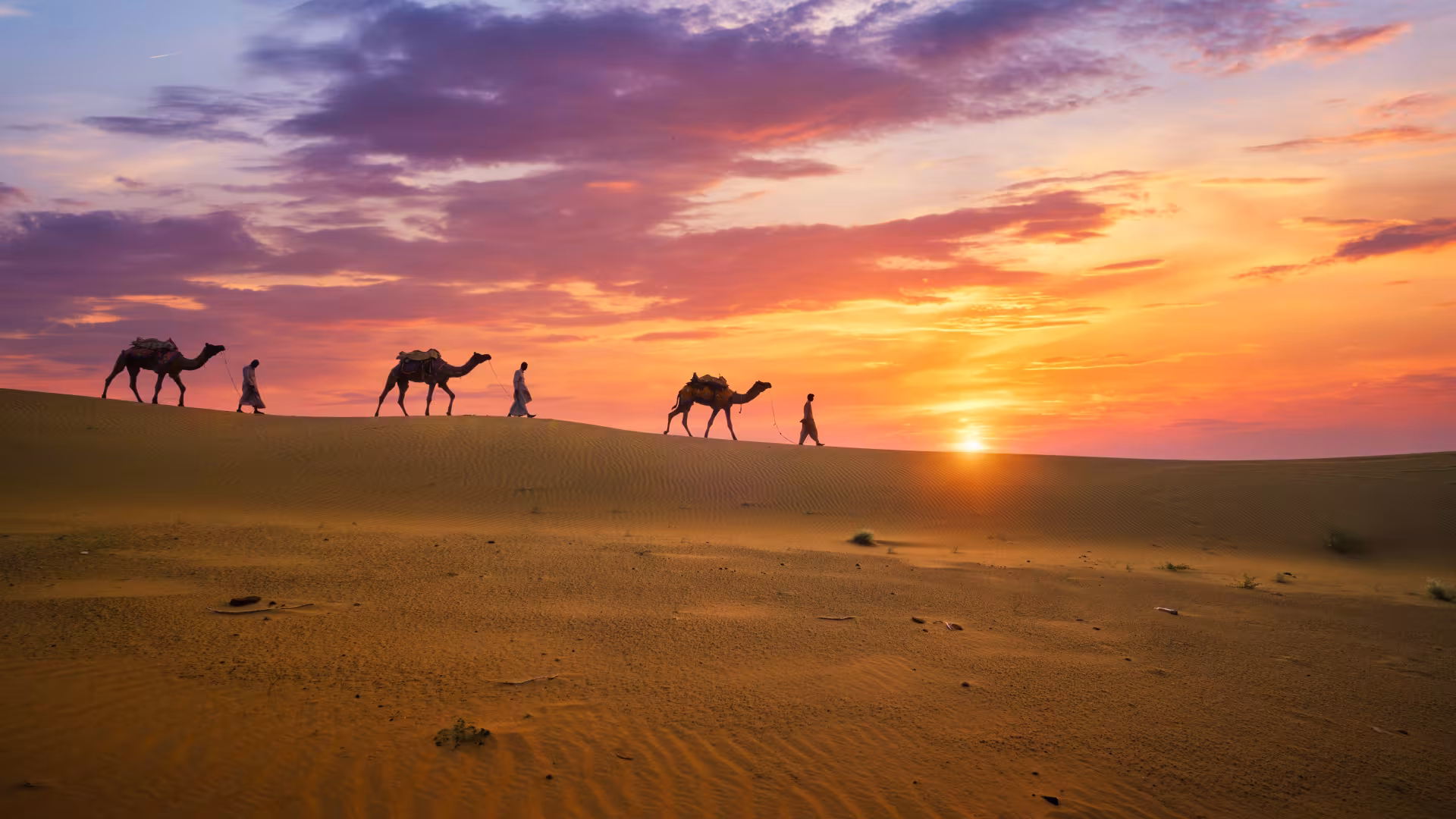 Abu Dhabi Overnight Desert Safari: Dune Bashing, BBQ & Starlit Camping
